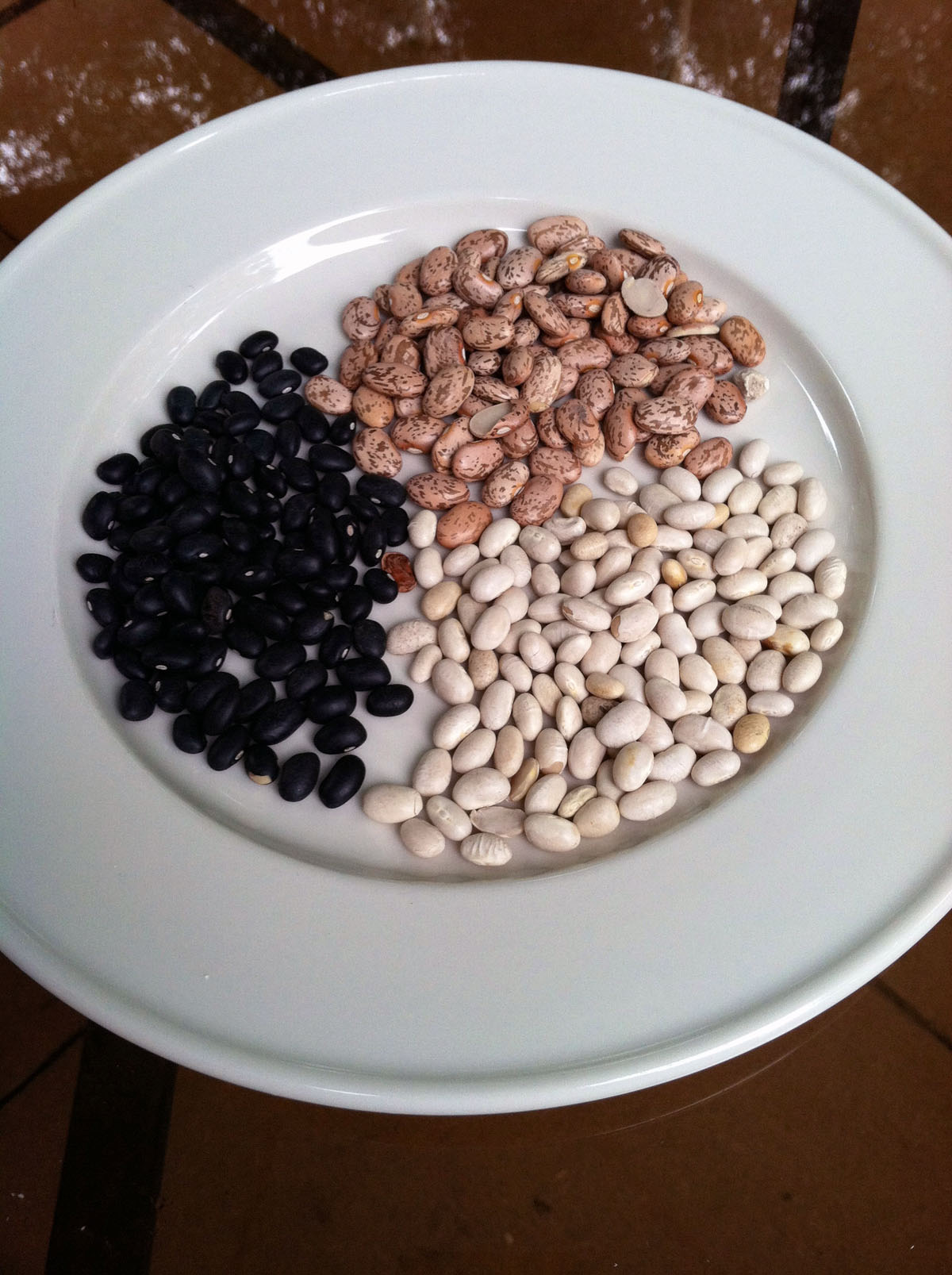 True or False Most vegetarians don’t get enough protein? Was Mom Wrong?